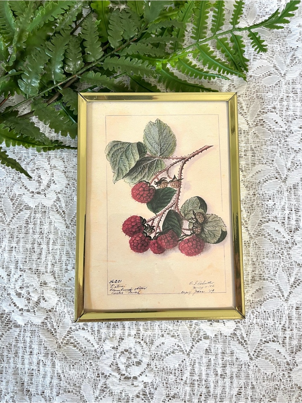 Vintage Brass Framed Raspberry Decor 5x7